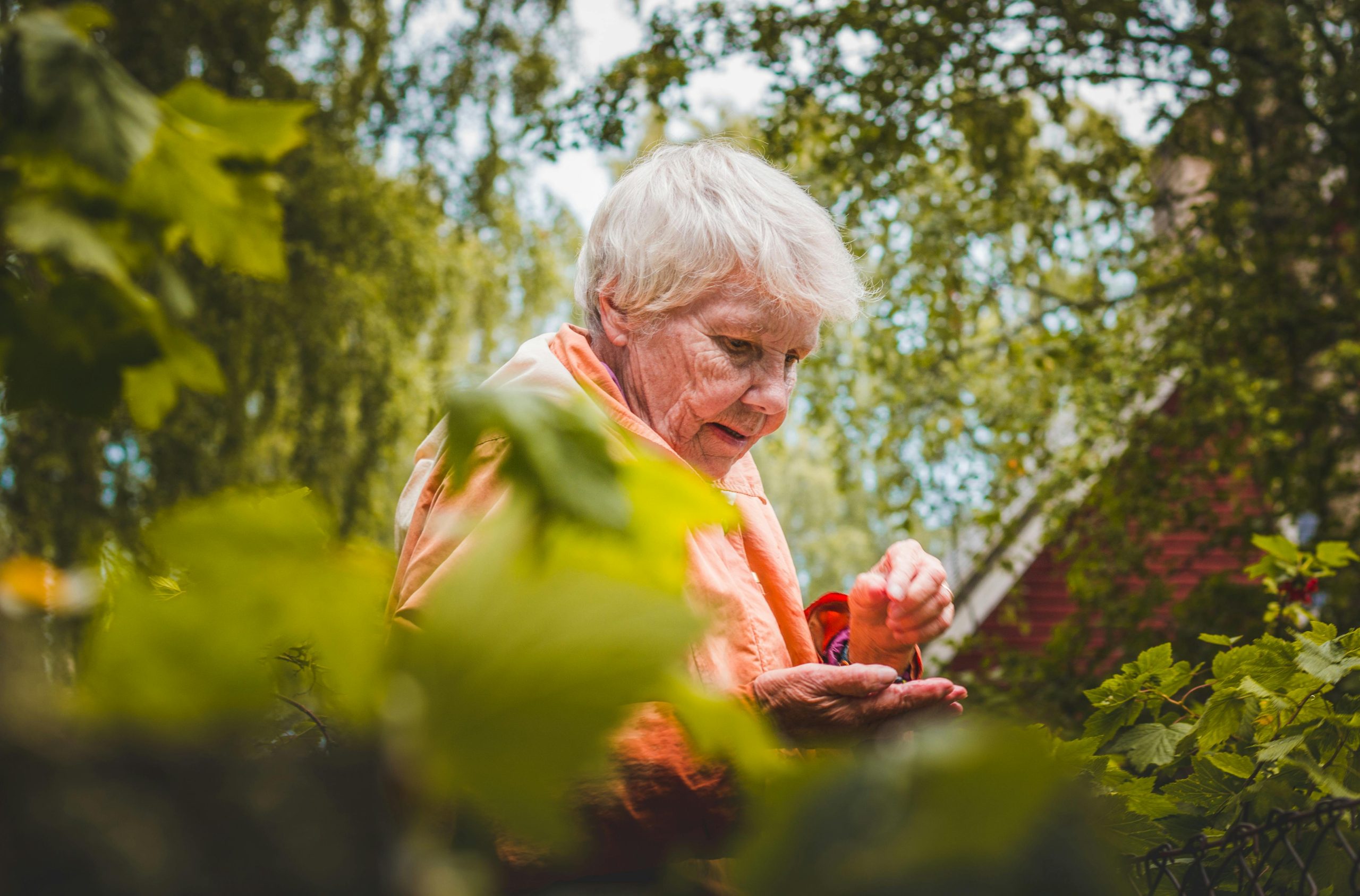 senior woman gardening